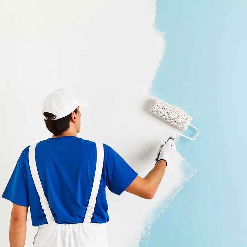 Dalyan iç cephe boyama